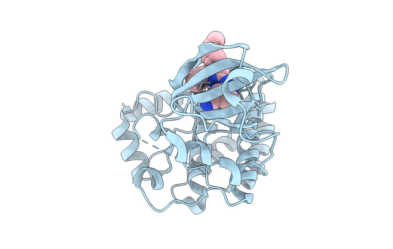 5CEQ image