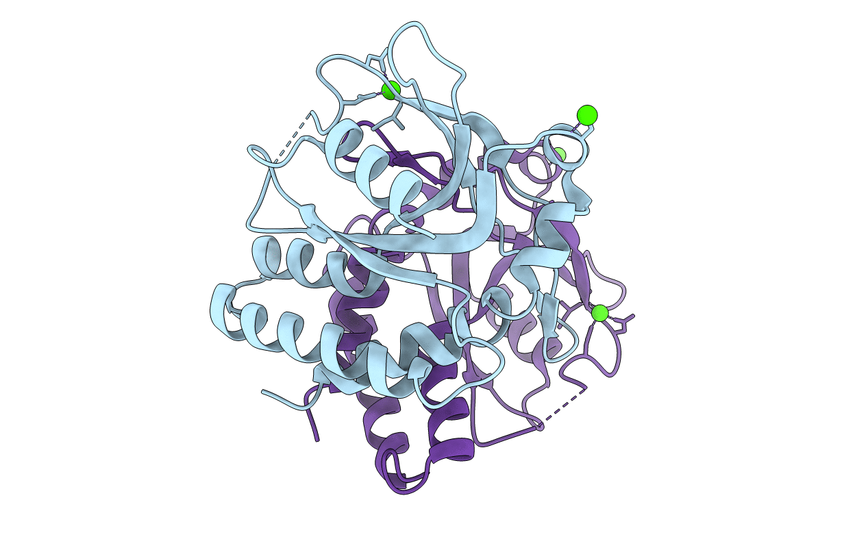 5CFR image