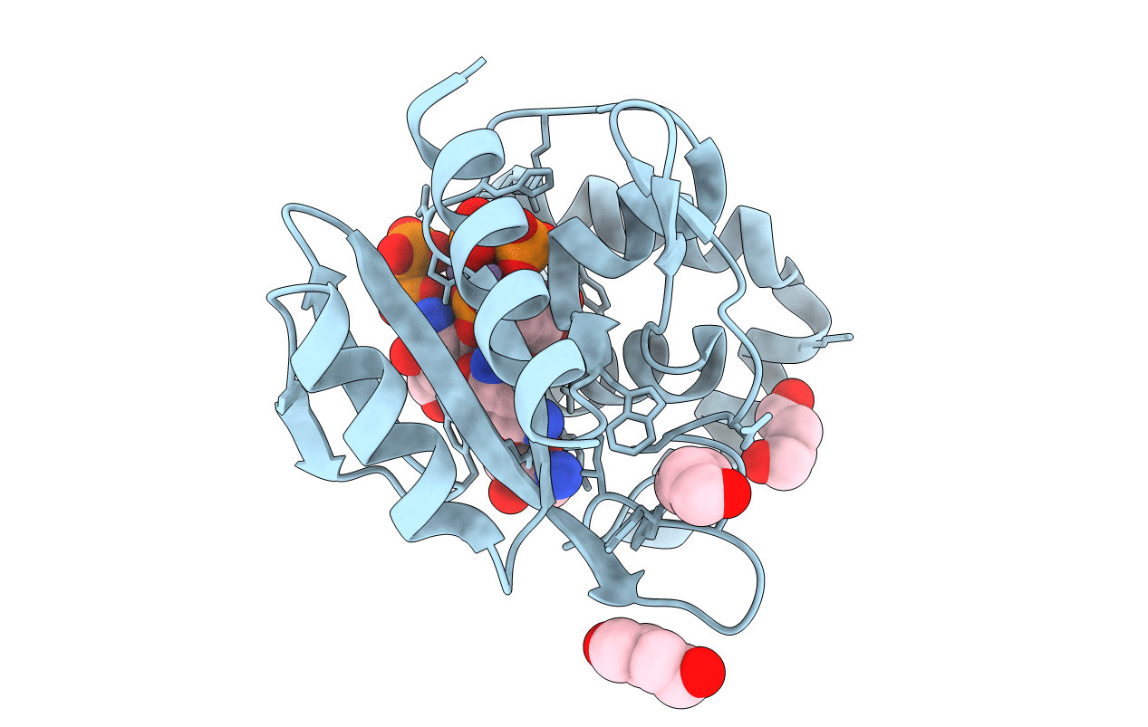5CFU image