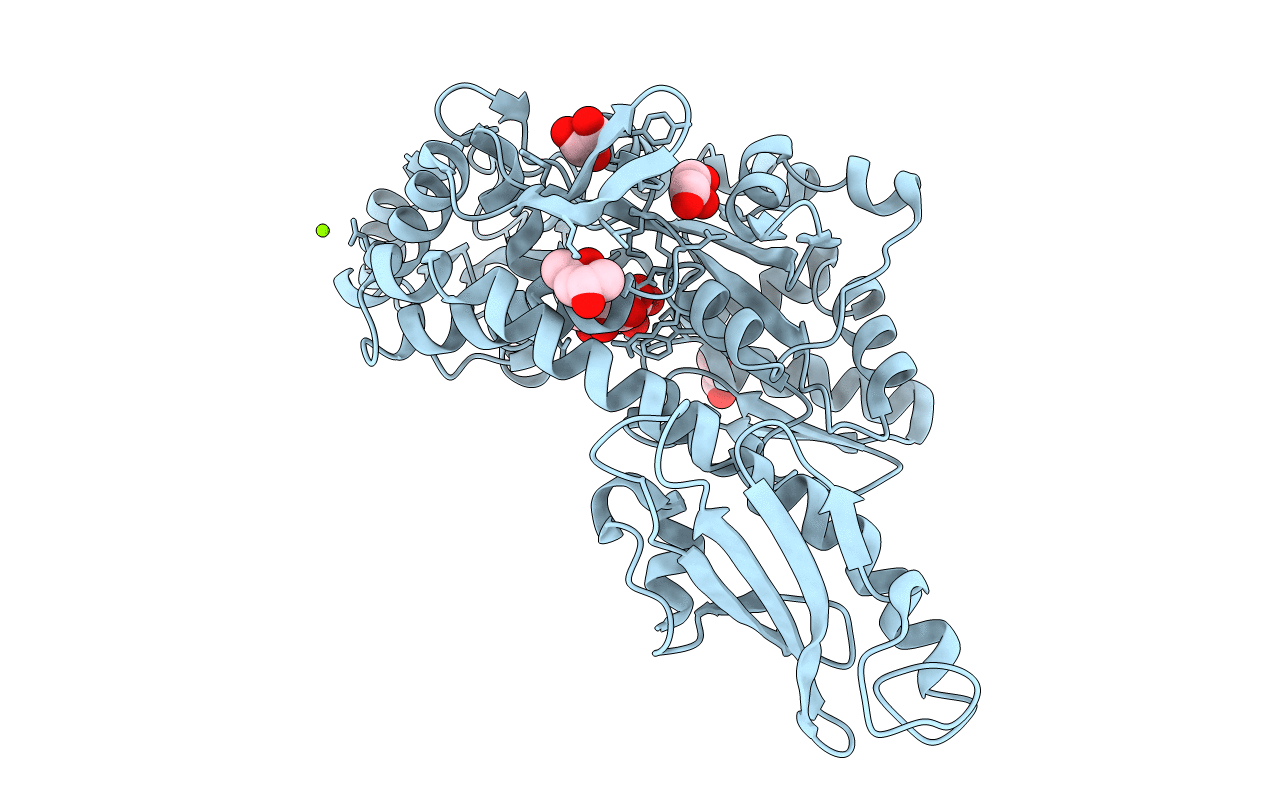 5CFV image