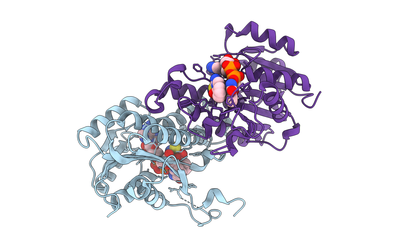 5CG2 image