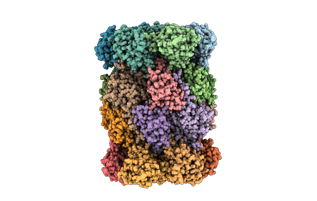 5CGH image