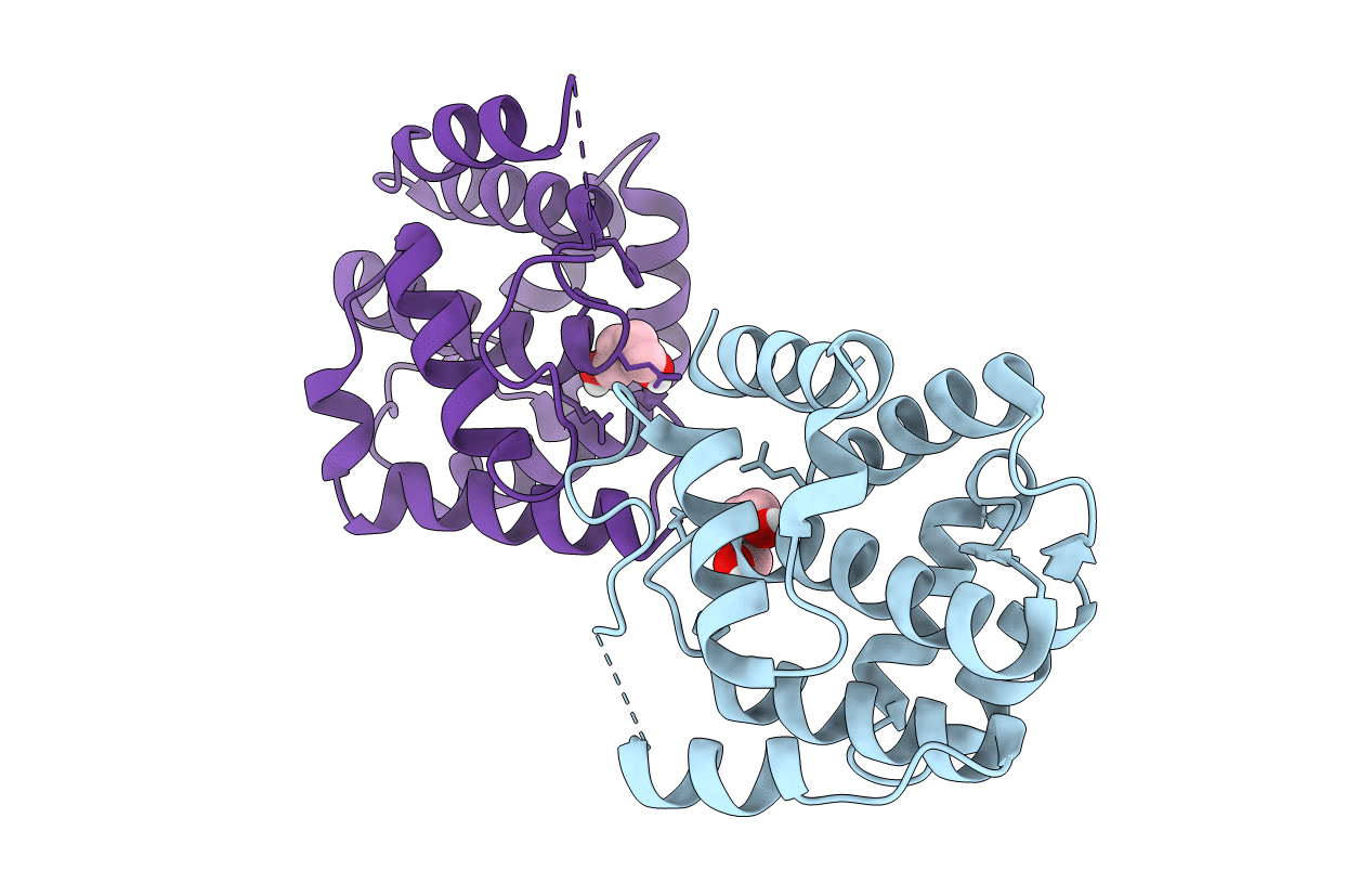 5CGL image