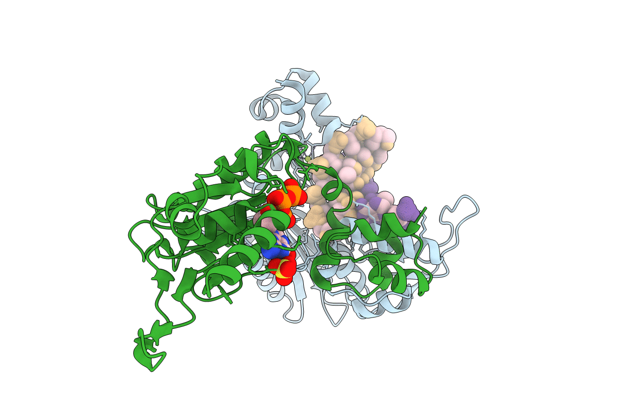 5CHG image