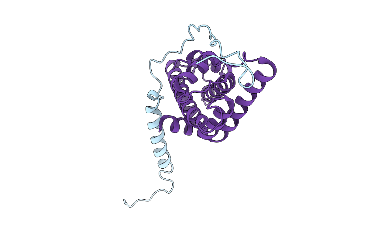 5CHL image