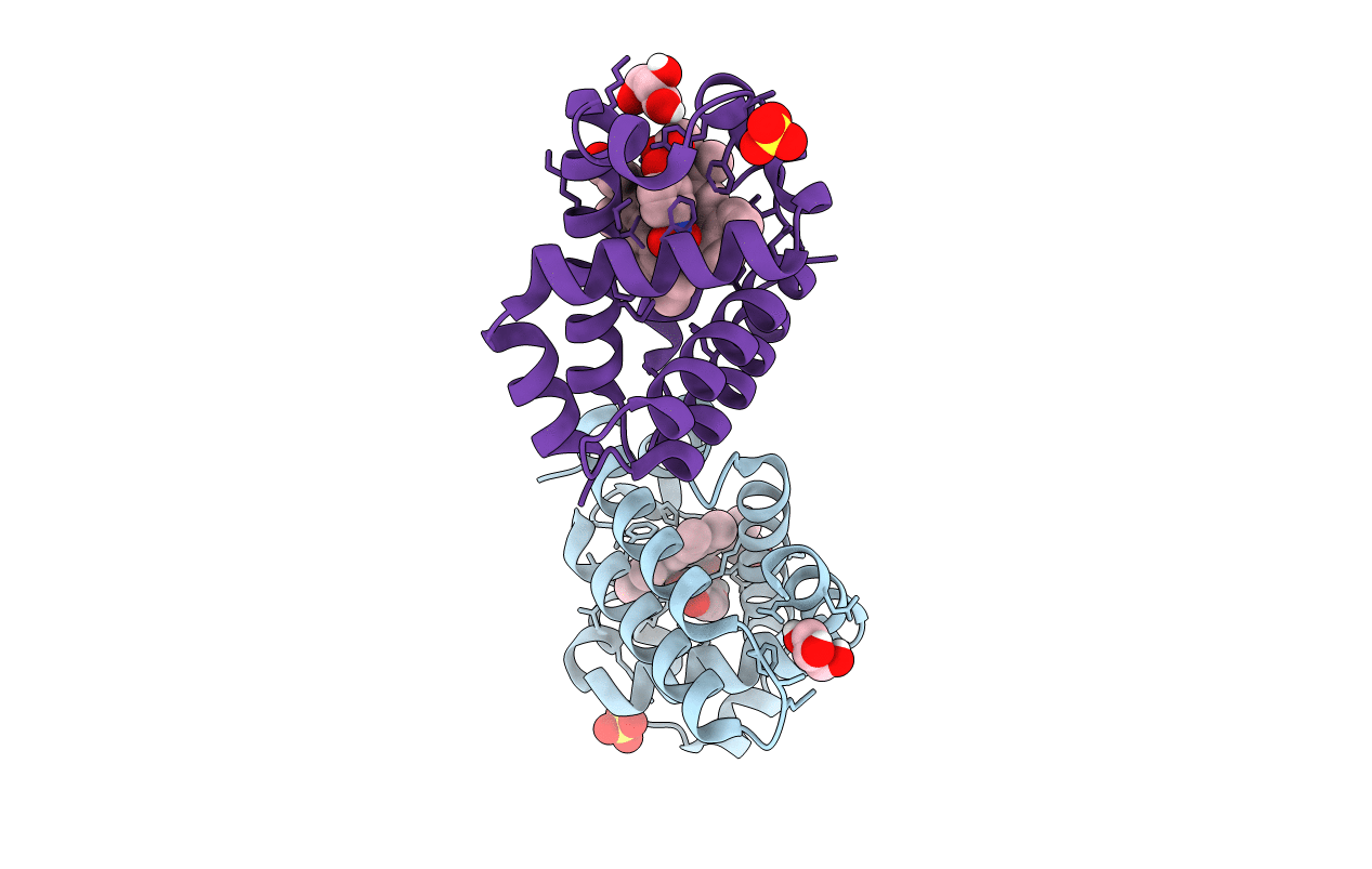 5CHQ image