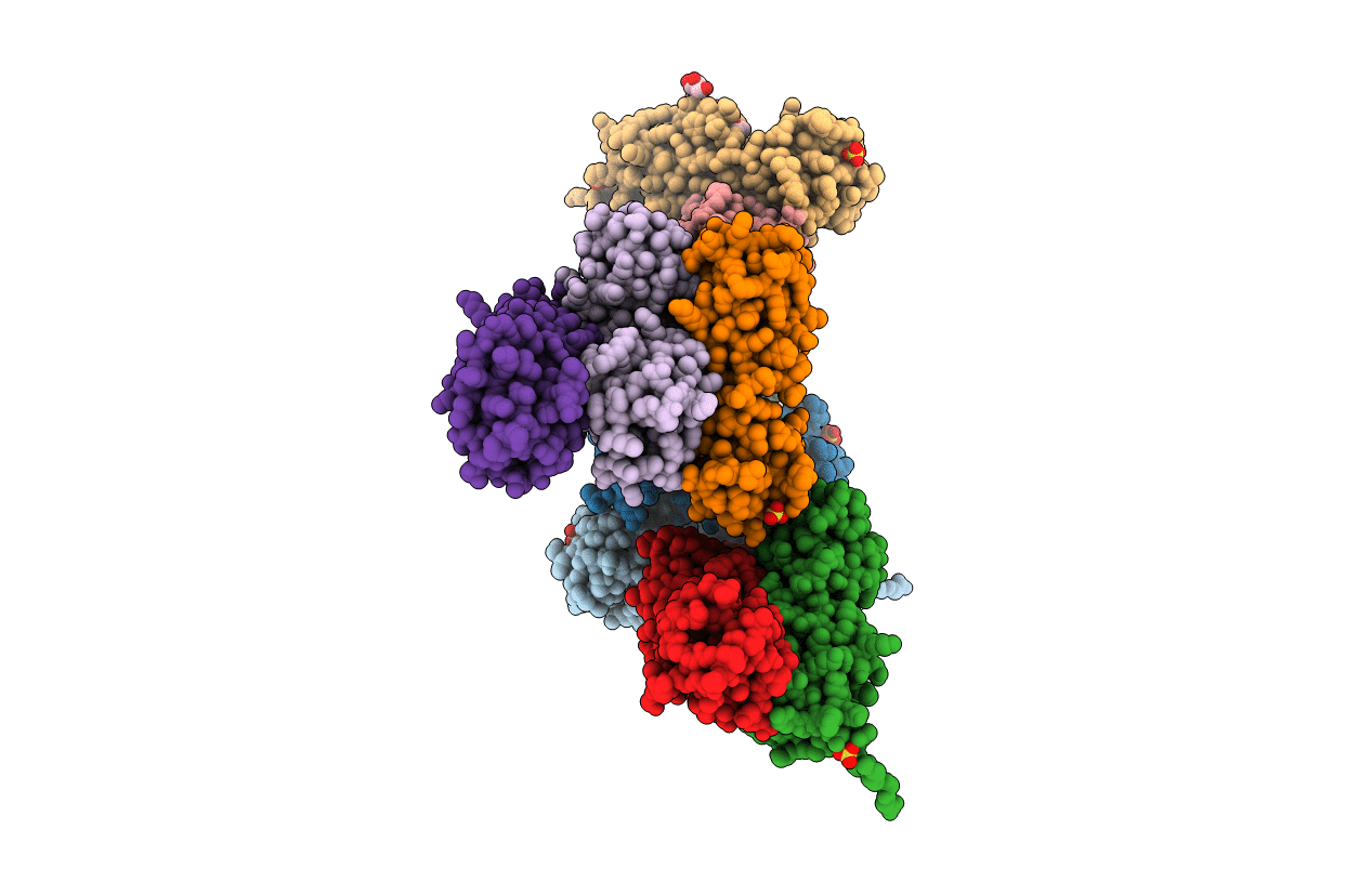 5CHW image