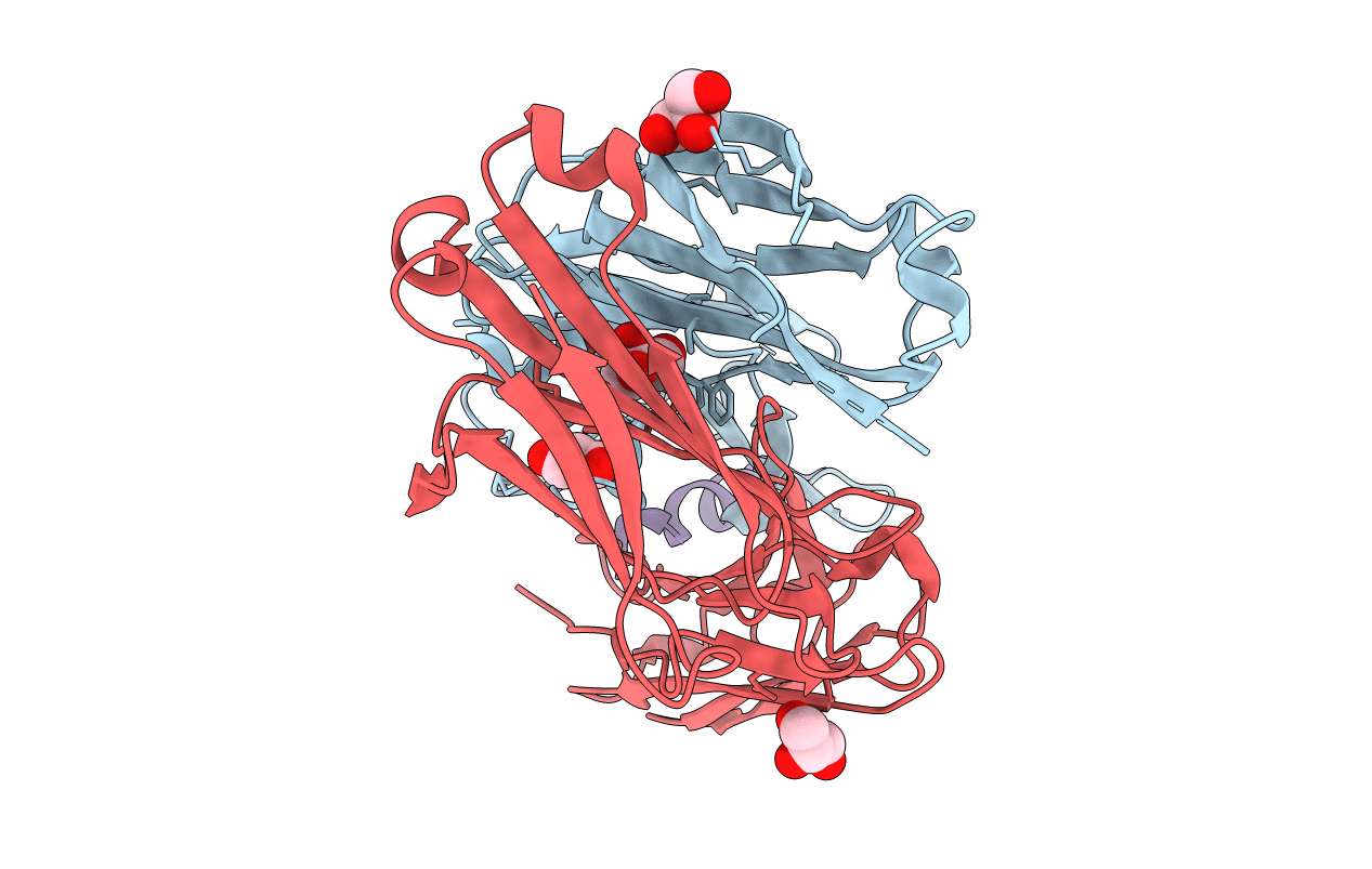 5CIN image