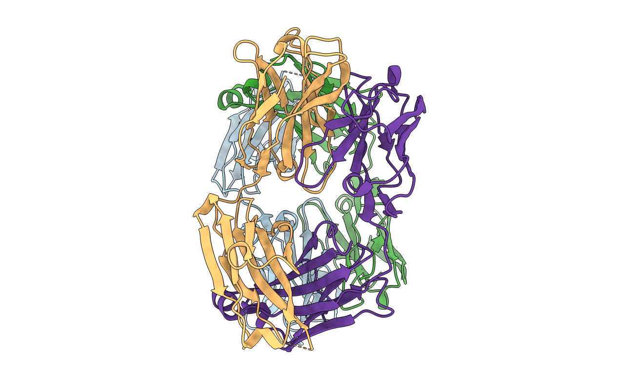 5CIP image