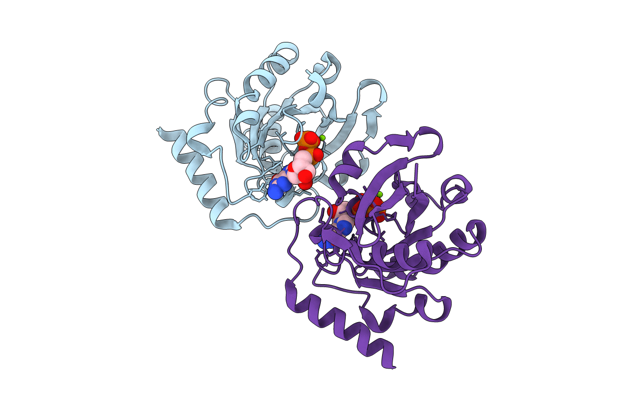 5CIQ image