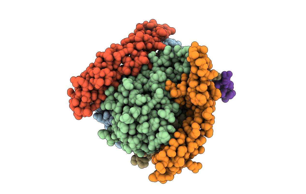 5CIR image