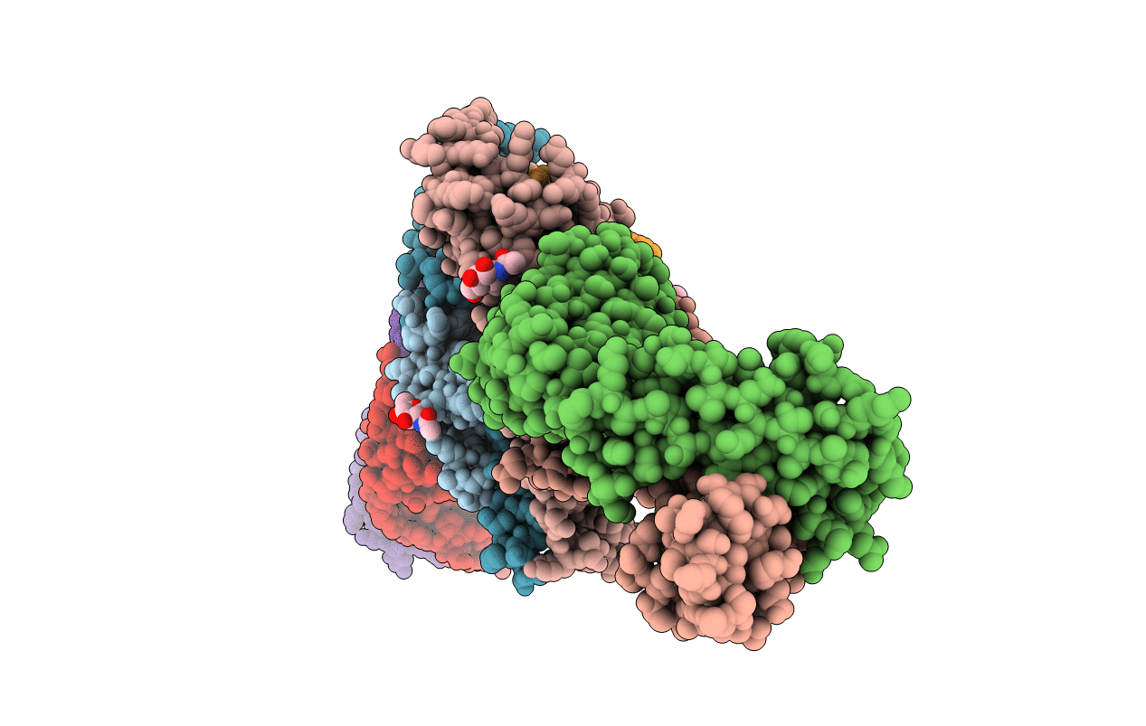 5CJS image