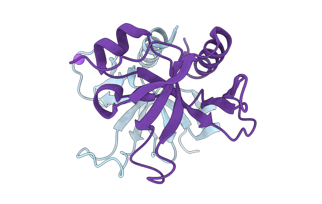 5CKD image