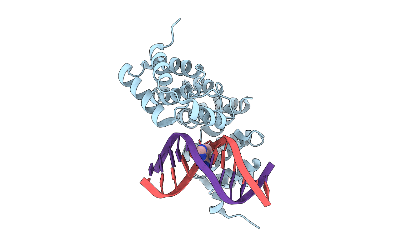 5CL6 image