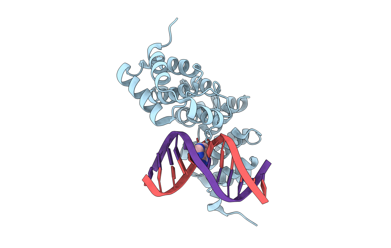 5CL7 image