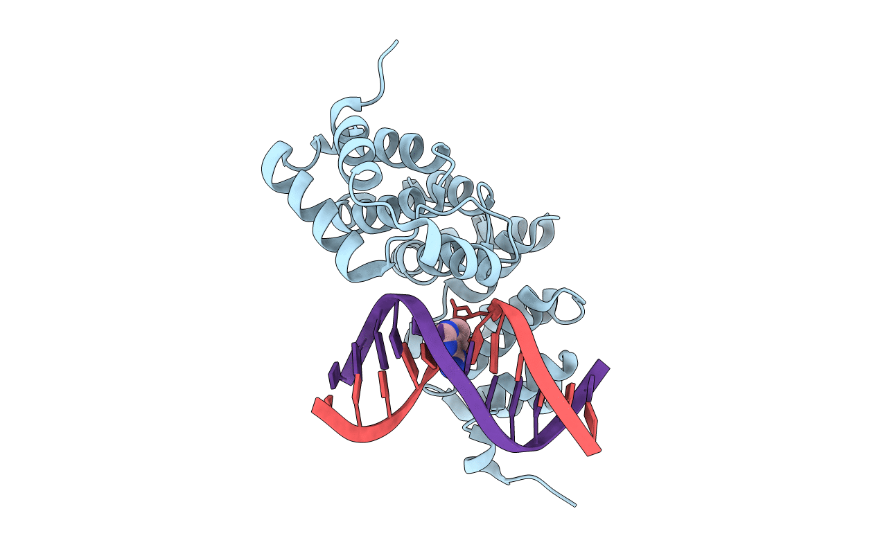 5CLA image