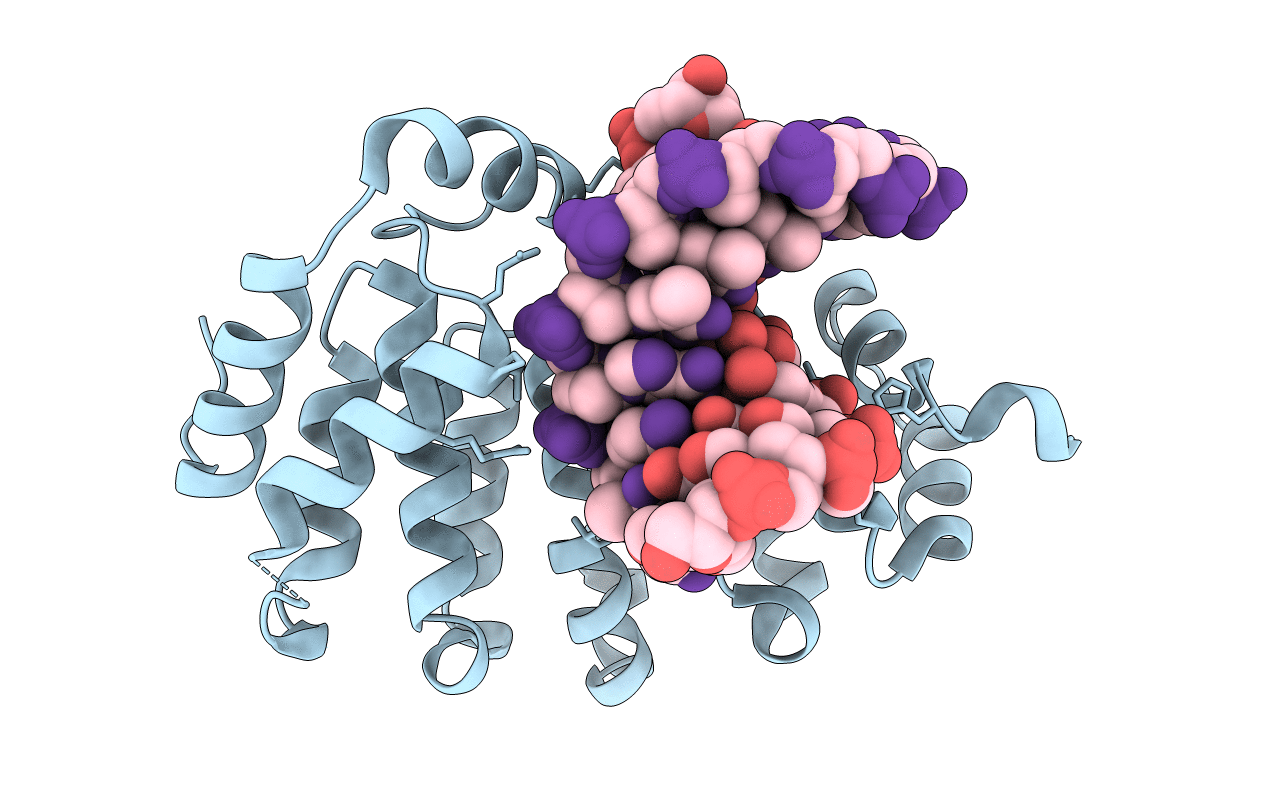5CLB image