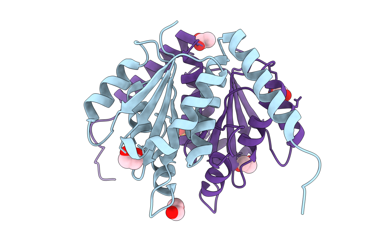 5CLF image