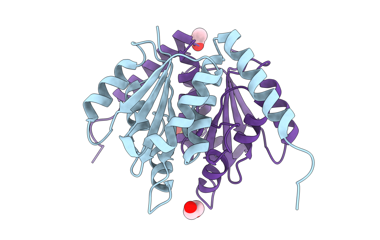 5CLH image