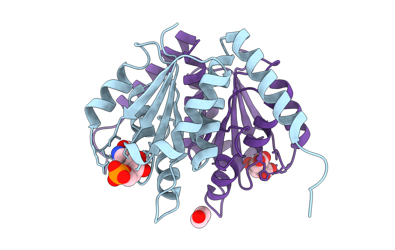 5CLJ image