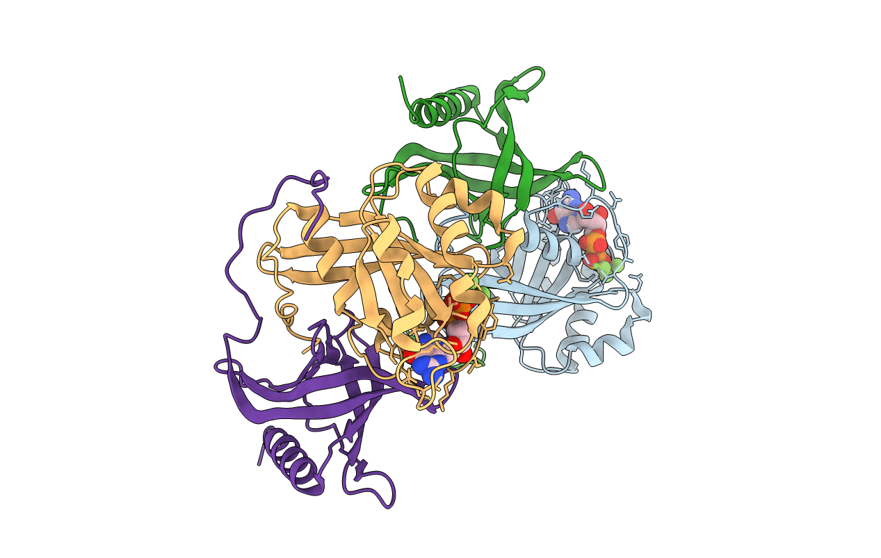 5CLL image