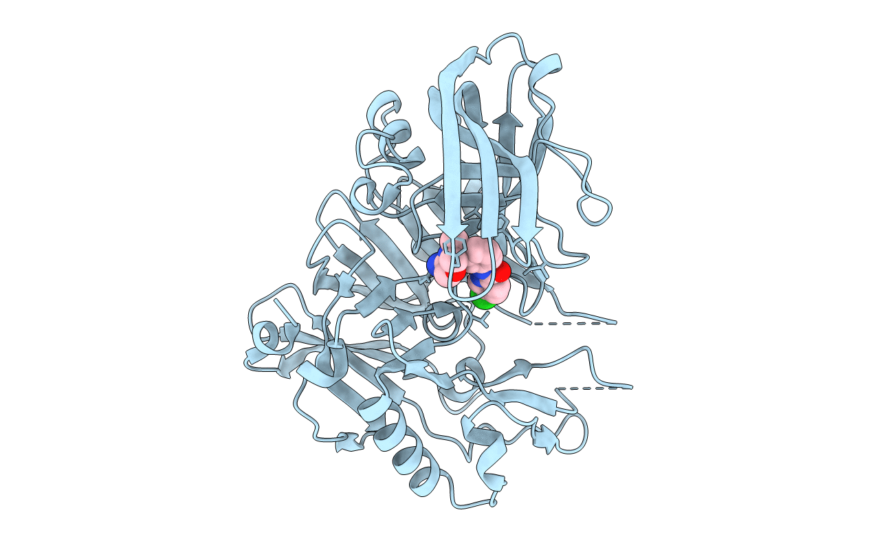 5CLM image