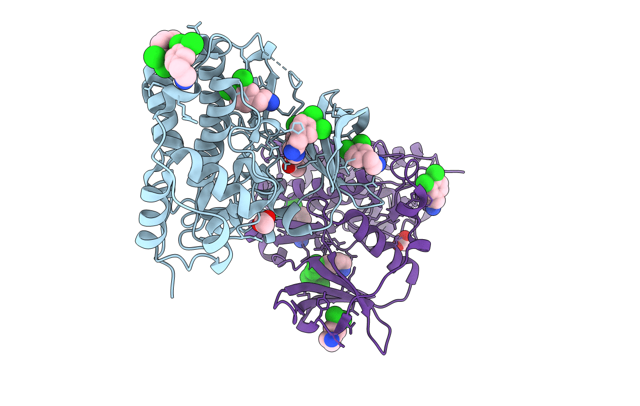 5CLP image