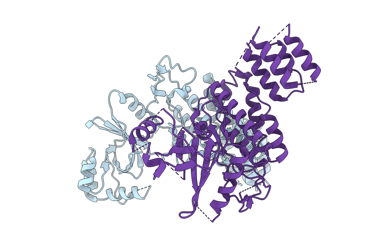 5CLR image
