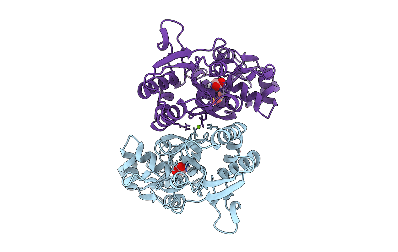 5CMB image