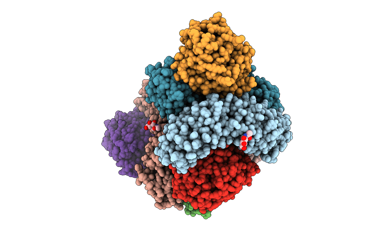5CMN image