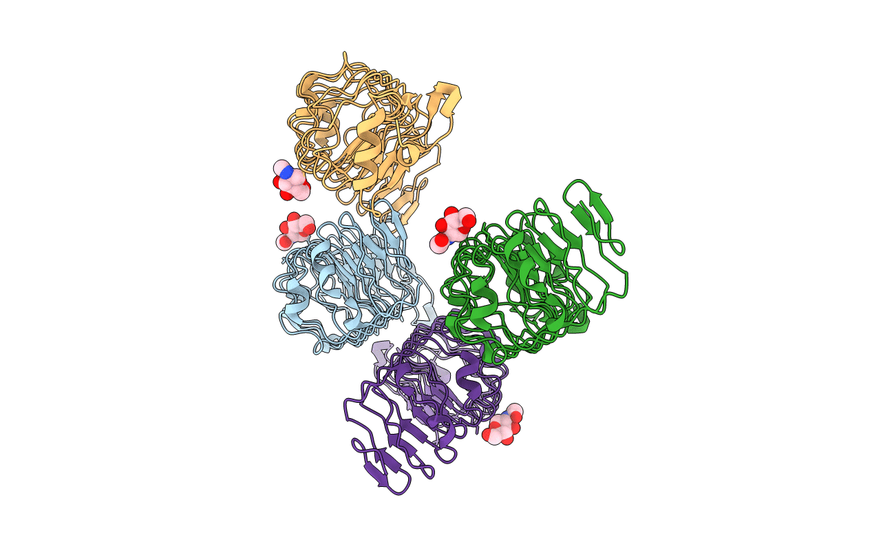 5CMP image