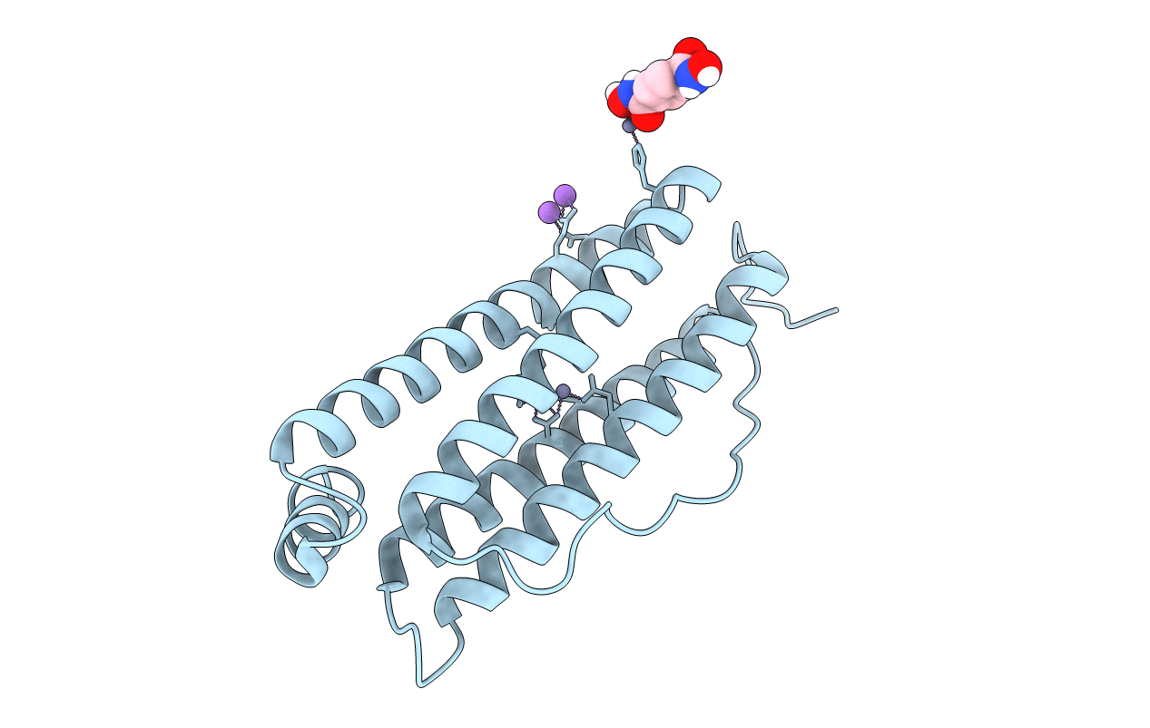 5CMR image