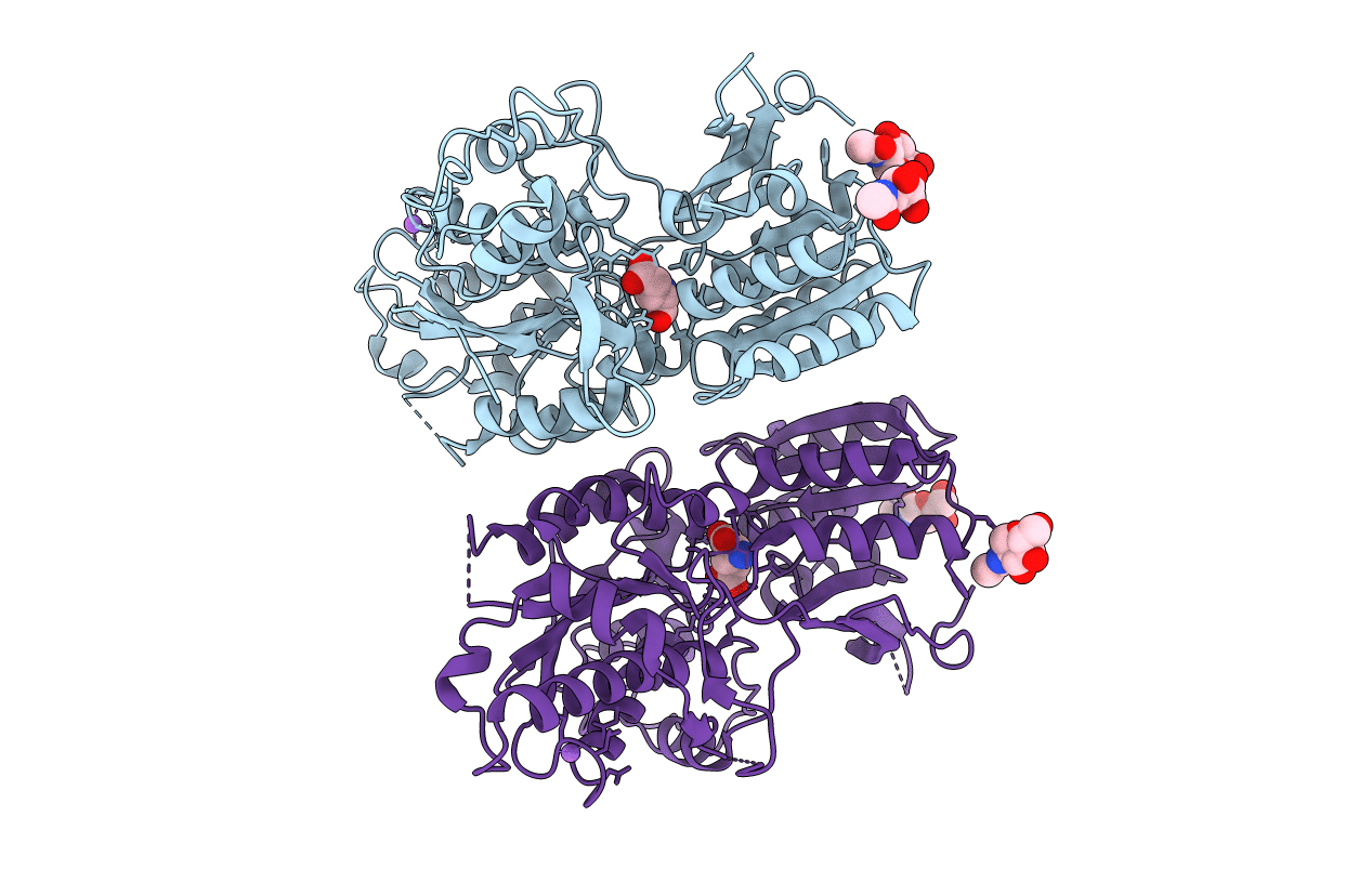 5CNI image