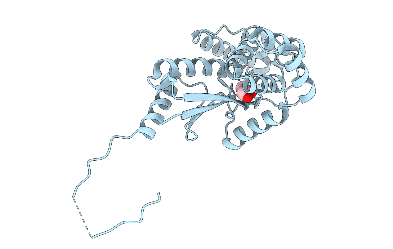 5CO3 image