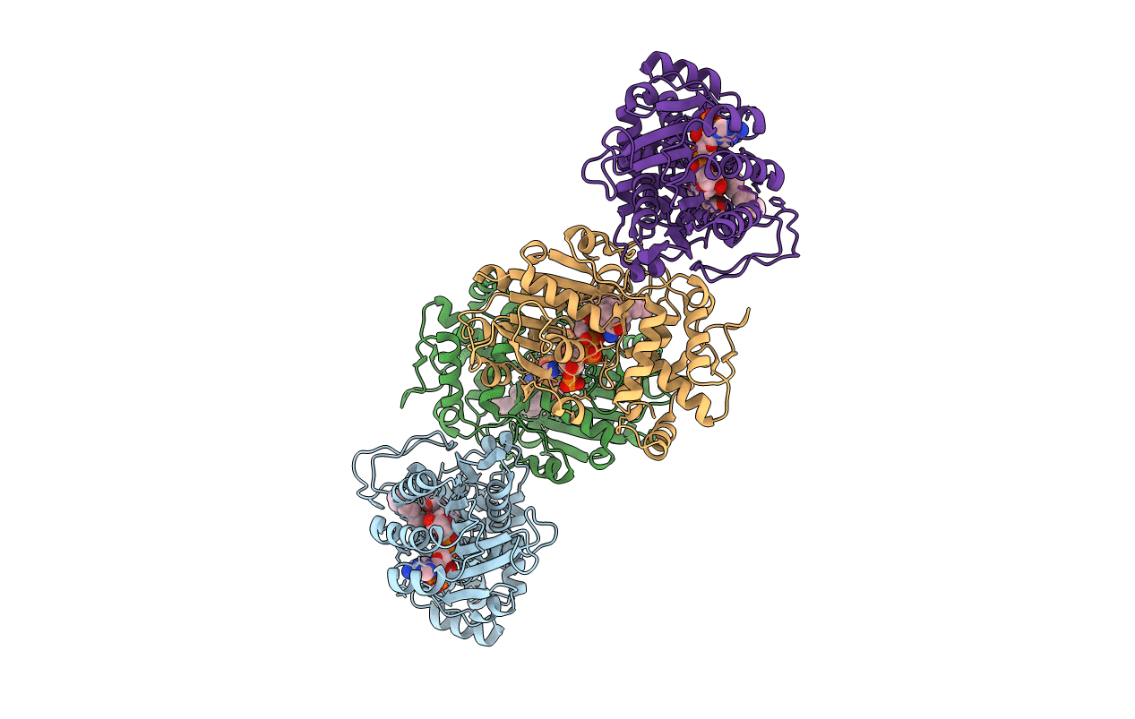 5COB image
