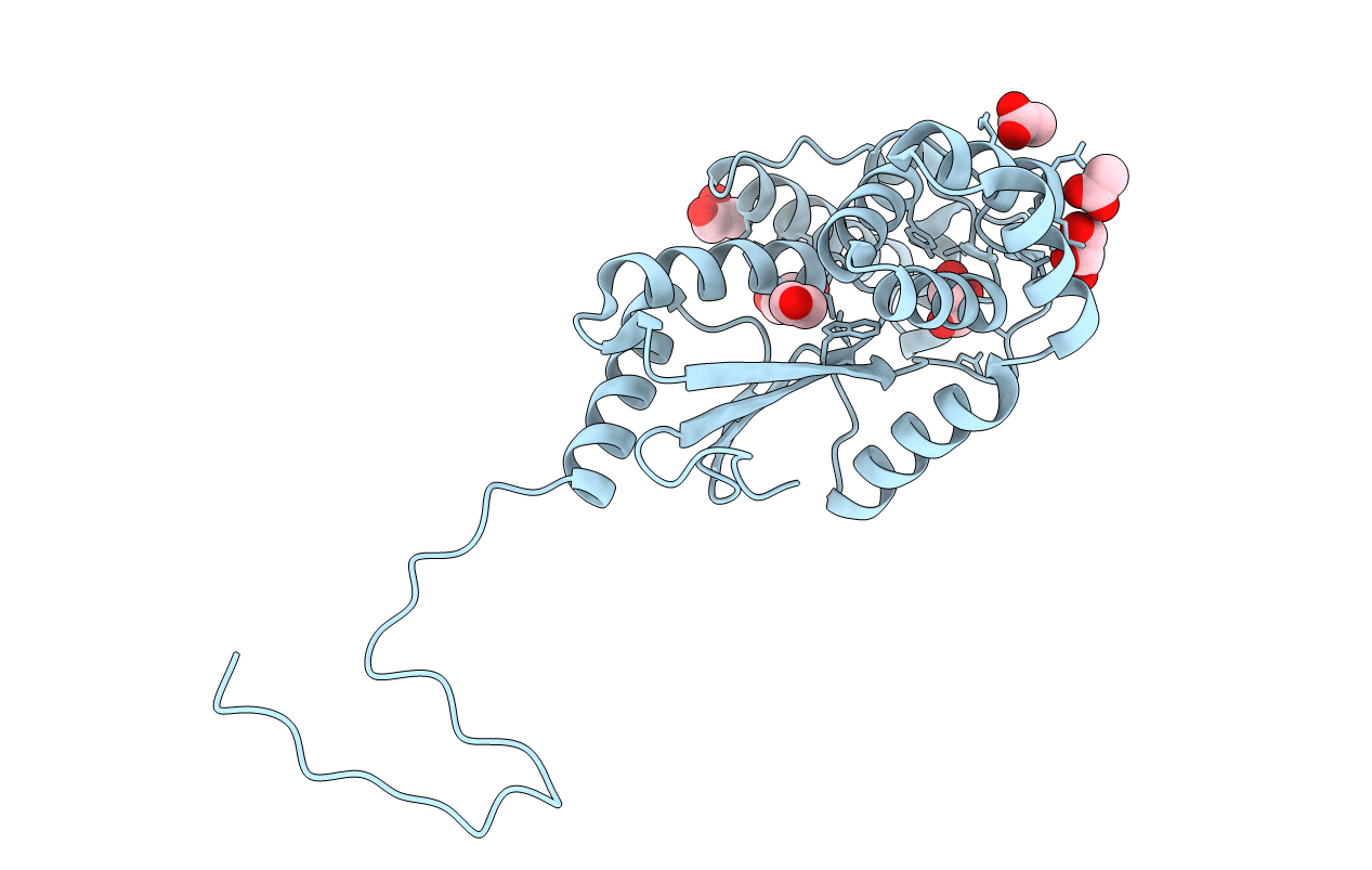 5CP1 image