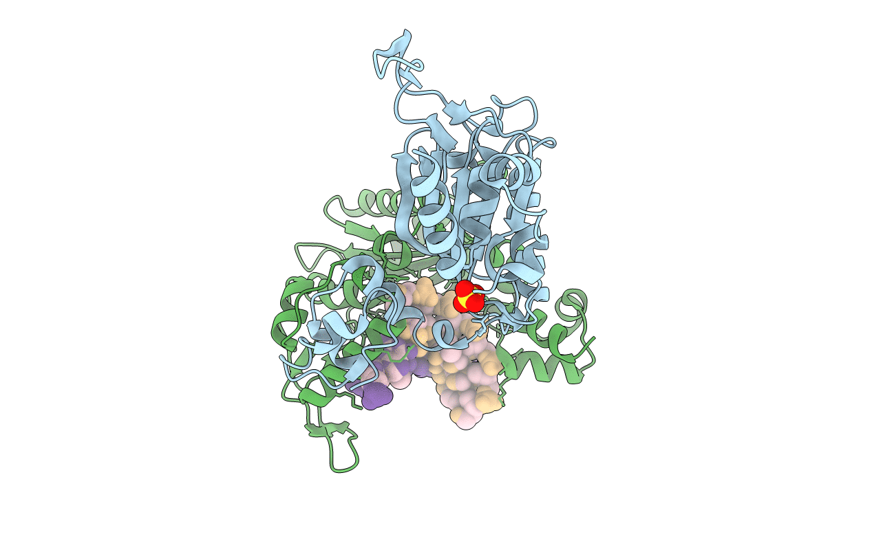 5CP2 image