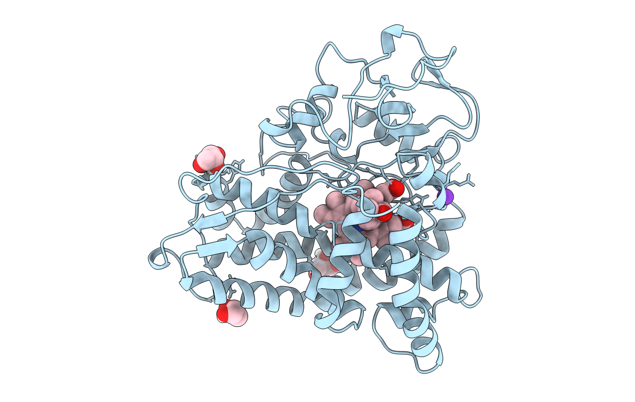 5CP4 image