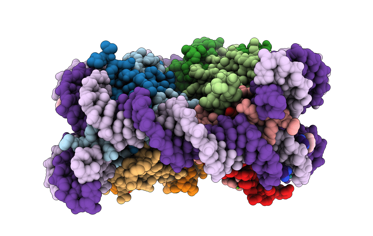 5CP6 image