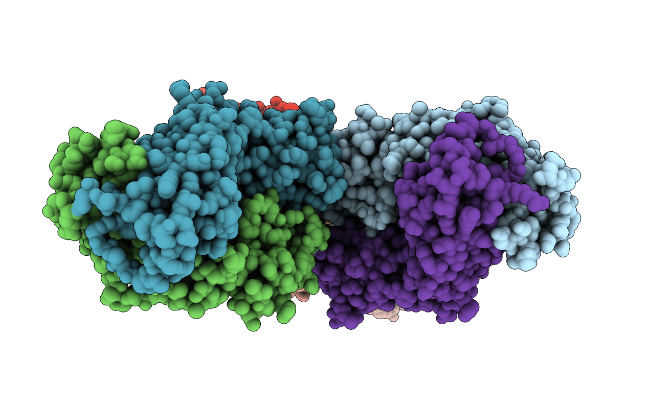 5CP7 image