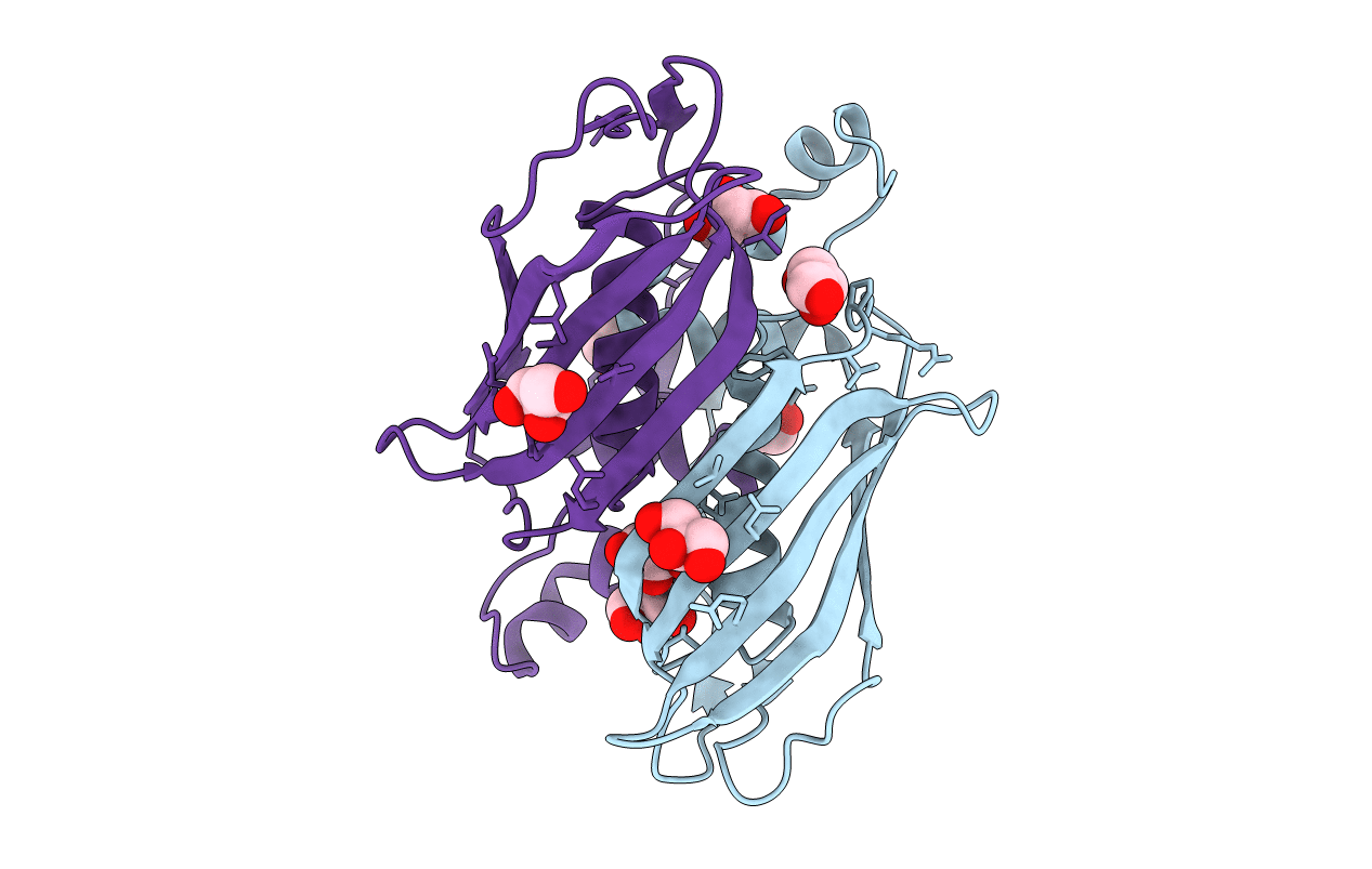5CPG image