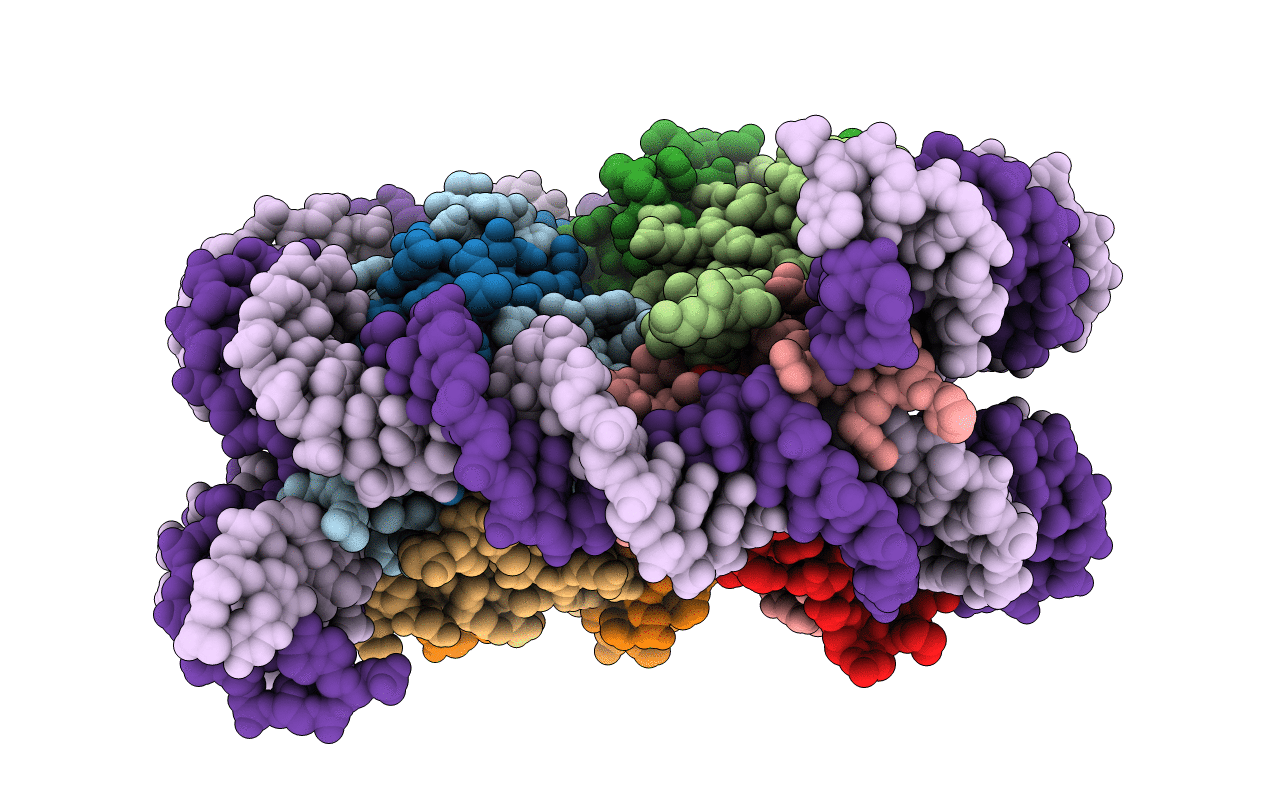 5CPJ image
