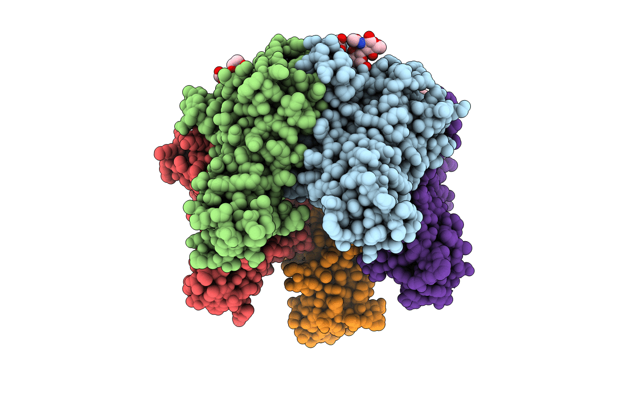 5CPX image