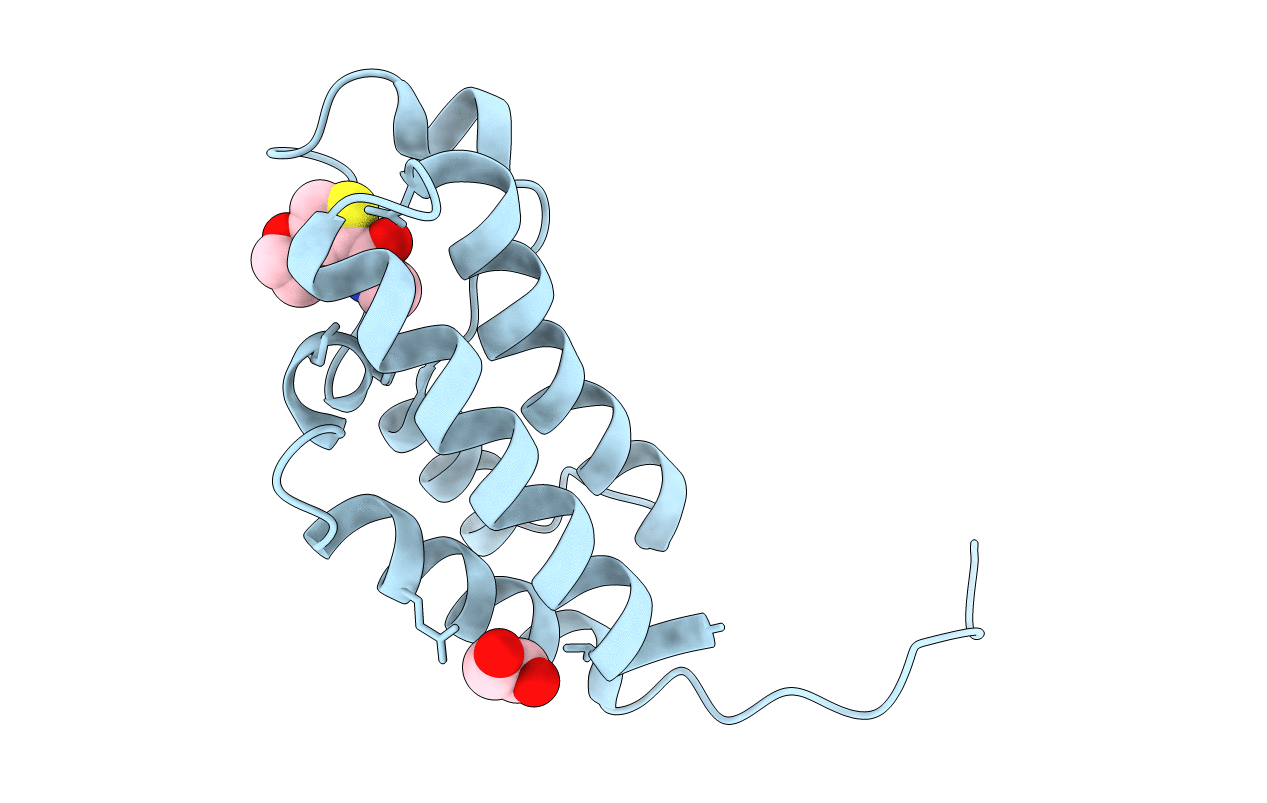 5CQA image