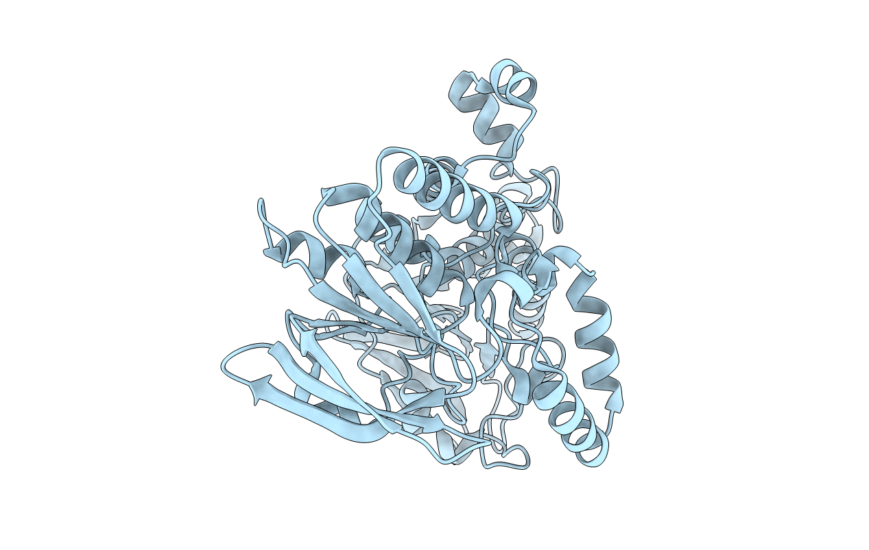 5CQF image