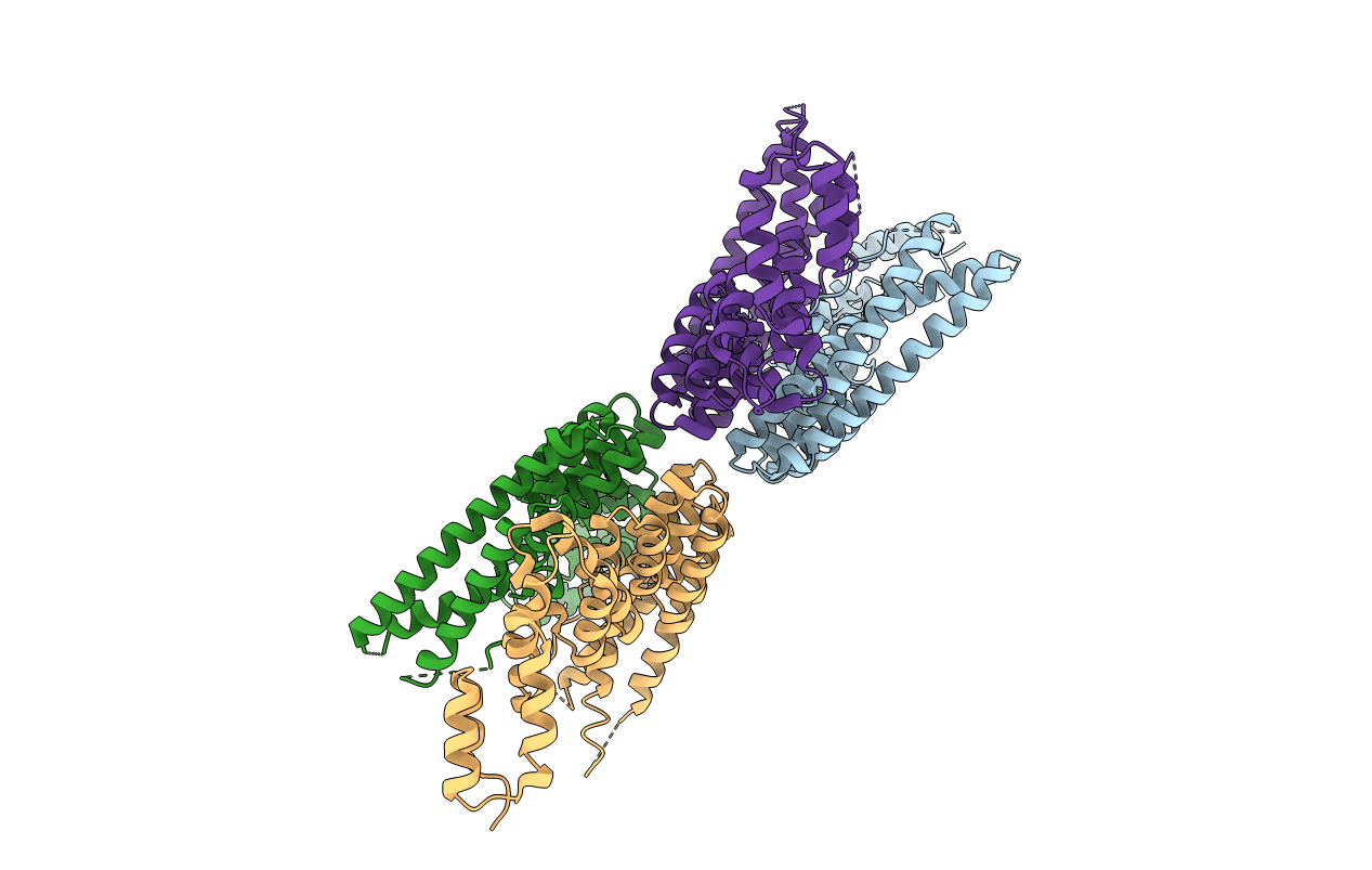 5CQS image