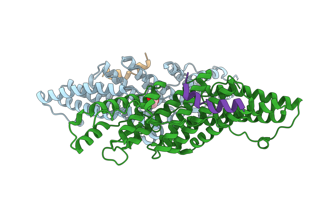 5CRV image