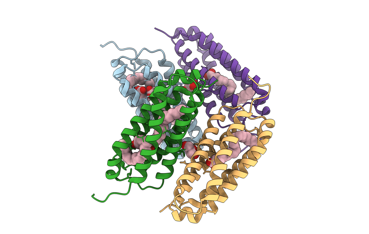 5CSD image