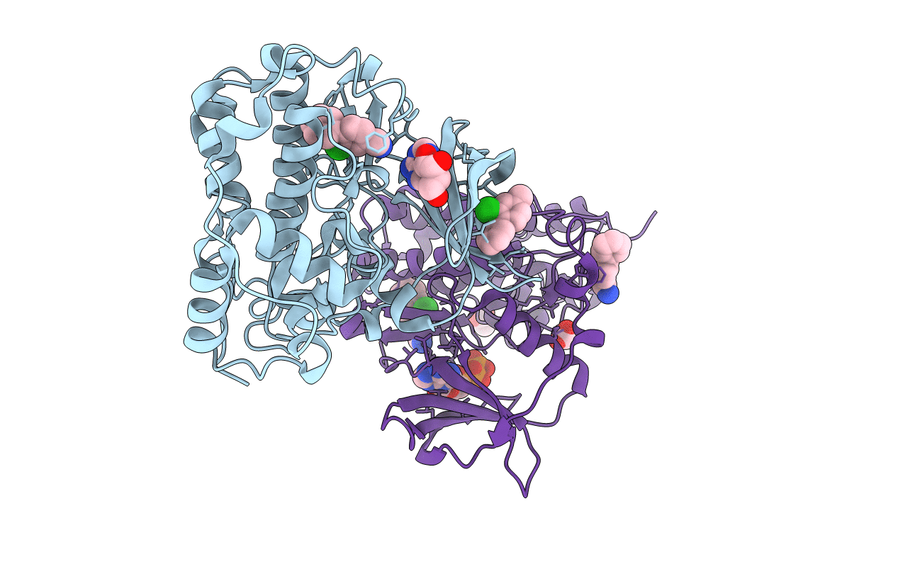 5CSH image