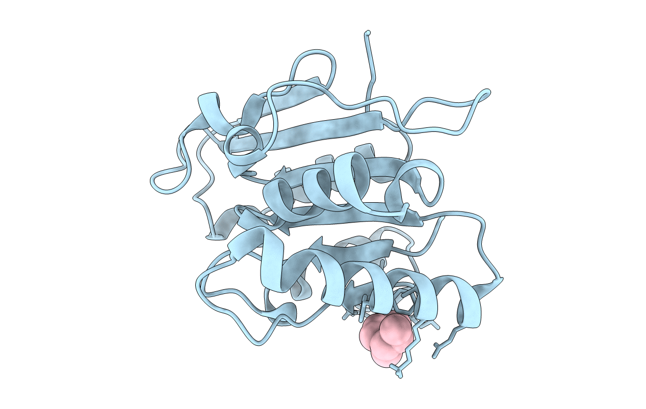5CTA image